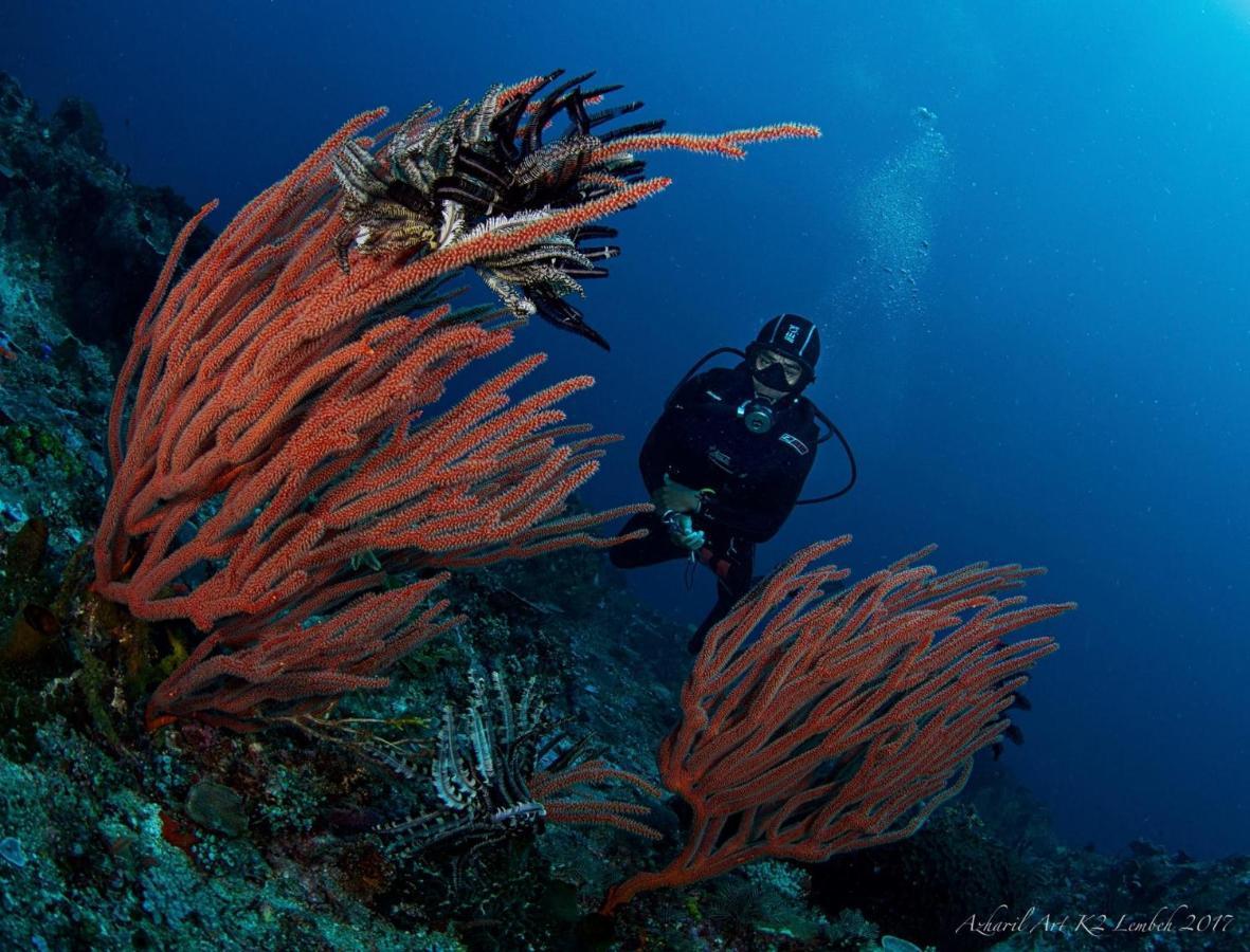 K2 Lembeh Dive Resort Bitung 外观 照片